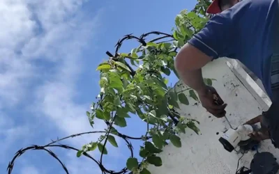 Cómo elegir el sistema de cámaras adecuado para tu empresa